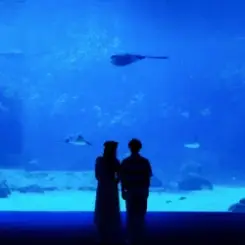 Mattyeux & Princess Chelsea & Vieoclub - Sometimes слушать онлайн