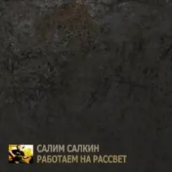 Салим Салкин - Новый мировой порядок слушать онлайн