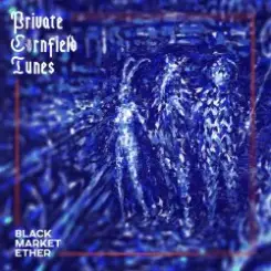 Private Cornfield Tunes - Narcotic Fog Syndicates слушать онлайн