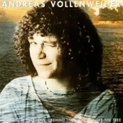 Andreas Vollenweider - Skin and Skin слушать онлайн
