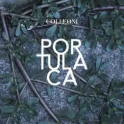 Colleoni - Sinonimi E Contrari слушать онлайн