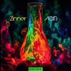 Zinner - Acid слушать онлайн