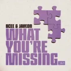 BCee & Javeon - What You're Missing слушать онлайн