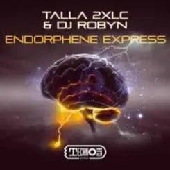Talla 2XLC & DJ Robyn - Endorphene Express (Extended Mix) слушать онлайн