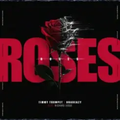 Timmy Trumpet & bradeazy & Richard Judge - Roses слушать онлайн