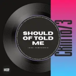 Igor Pumphonia - Should Of Told Me слушать онлайн