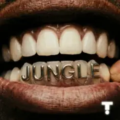 TroyBoi & Shiwa - Jungle слушать онлайн