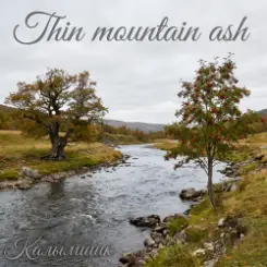 Калымщик - Thin mountain ash слушать онлайн