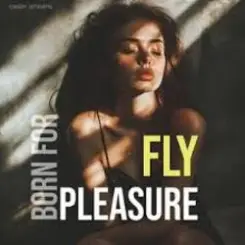 Fly - Born For Pleasure (Radio Edit) слушать онлайн