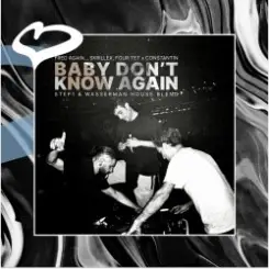 Обложка Fred again.., Skrillex, Four Tet x Constantin - Baby Don't Know Again.. (Step1 & Wasserman House Blend)