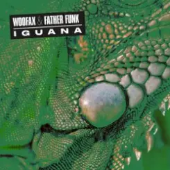 Iguana - Illimani слушать онлайн