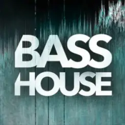 BASSCO - Hustler слушать онлайн