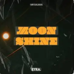 Mr Salama - Moon Shine ( Retro Mix 2026) слушать онлайн