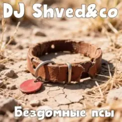 DJ Shved&co - Бездомные псы слушать онлайн