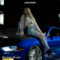 ALEEX, DEENI - Street Boys слушать онлайн