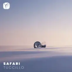 Tuccillo - Safari (Mixed) слушать онлайн