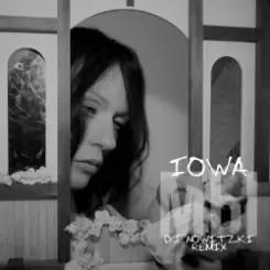IOWA - Мы (DJ Nowitzki Remix) слушать онлайн