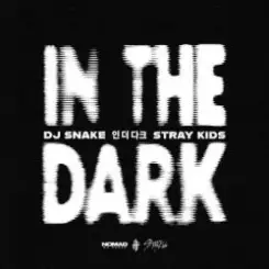 DJ Snake & Stray Kids - In The Dark слушать онлайн