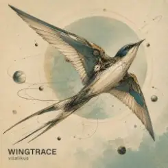 ViTaLiKuS - WINGTRACE (Extended Mix) слушать онлайн