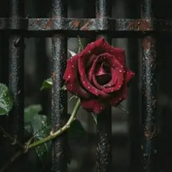 RJ Emerald Fire (Изумрудный огонь) - Prison of Love слушать онлайн