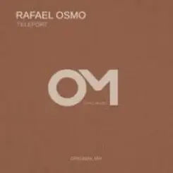 Rafael Osmo - Insomnia (Cover Rework) слушать онлайн
