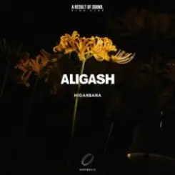 ALIGASH - Moon Bay At Sunset (Extended Mix) слушать онлайн