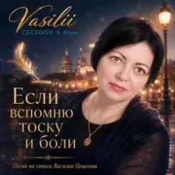 Vasilii CECEGOV & Atom - Большое чувство слушать онлайн