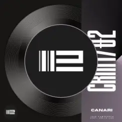 Igor Pumphonia & Anita Lav - Canari слушать онлайн
