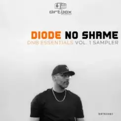 Diode - No Shame (Original Mix) слушать онлайн