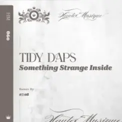 Tidy Daps - Something Strange Inside (Original Mix) слушать онлайн