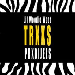 PRXDIJEES - TRXXS слушать онлайн