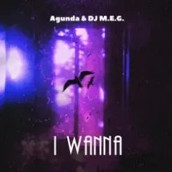 Agunda, DJ M.E.G. - I Wanna слушать онлайн