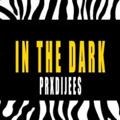 PRXDIJEES - IN THE DARK слушать онлайн