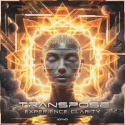 Transpose (CA) - Experience Clarity (Original Mix) слушать онлайн