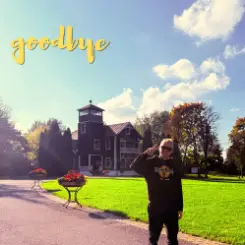 Romantic Riot - Goodbye слушать онлайн