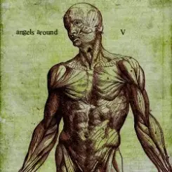 Angels Around - Vesta слушать онлайн