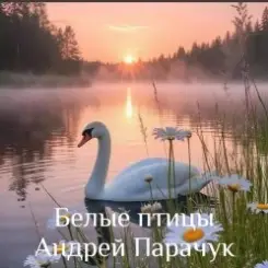 Андрей Парачук - Белые птицы слушать онлайн