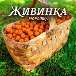 Живинка - Морошка слушать онлайн