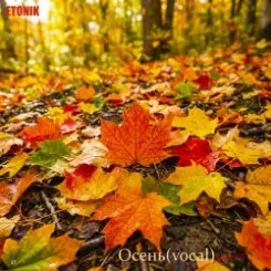 Etonik - Осень(vocal version) слушать онлайн
