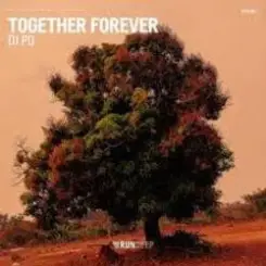 DJ PD - Together Forever слушать онлайн