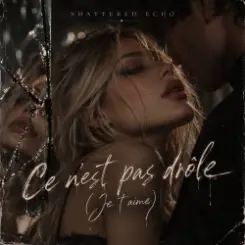 Shattered Echo - Ce n'est pas drôle (Je t'aime) слушать онлайн