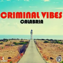 Criminal Vibes vs. DJ DNK - Calabria (DJ KIRILLICH Mashup) слушать онлайн